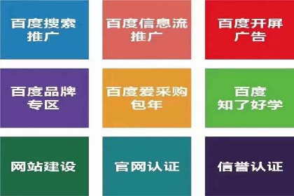 竞价开户优势解析：成功案例对比